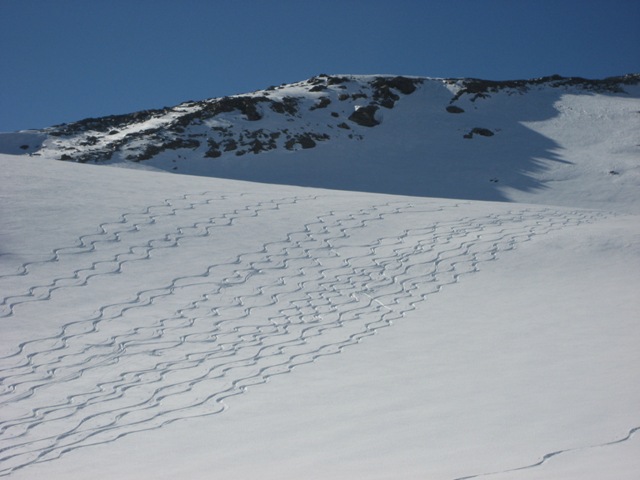Tracce sul Fannellgletscher