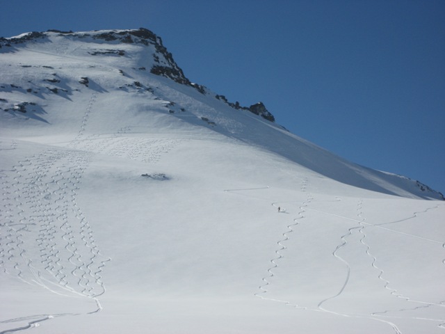 Discesa sul Fannellgletscher