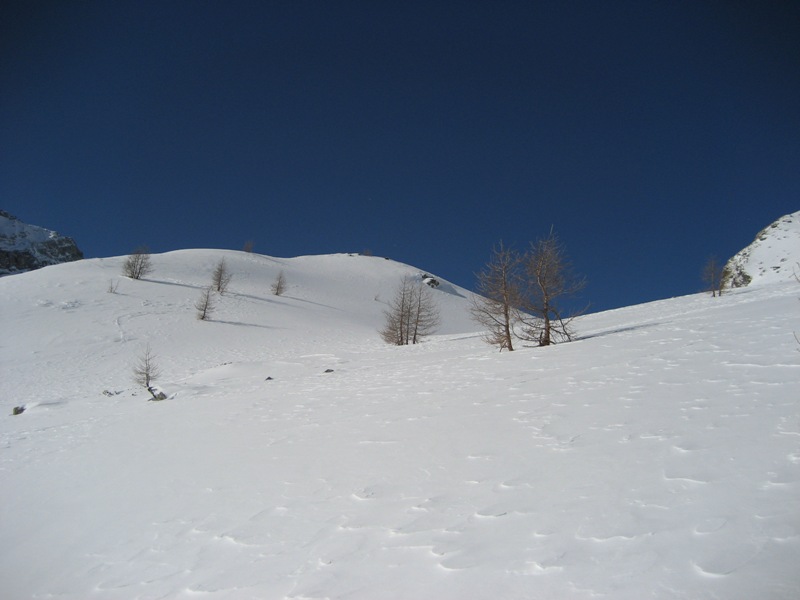 Terreno ideale per lo sci