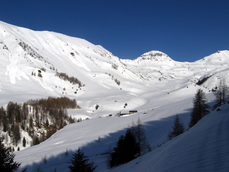 Cima Laione