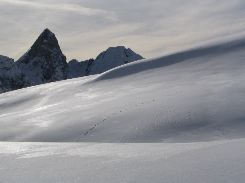 Cimon della Bagozza Cimon della Bagozza