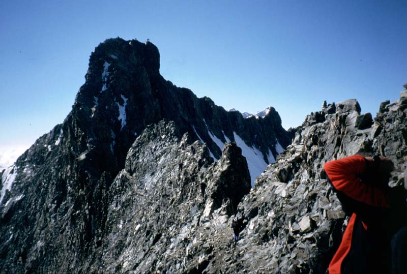 Bernina