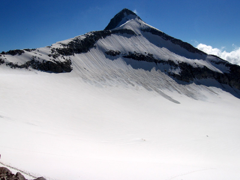 Presanella parete nord est Presanella parete nord est