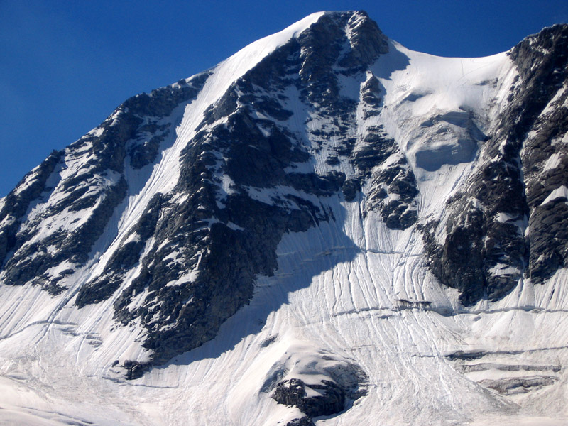 Presanella parete nord est Presanella parete nord est