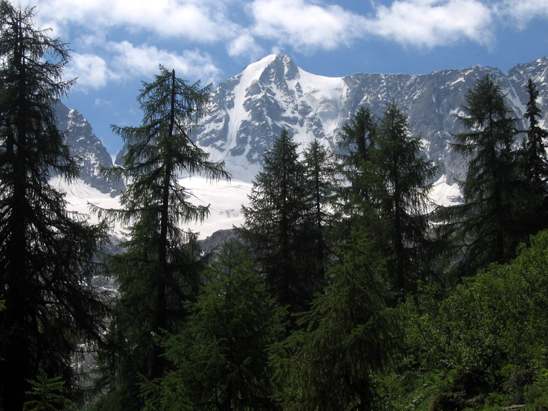 Presanella parete nord est