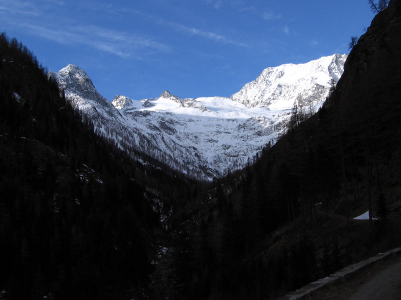 Tossenhorn