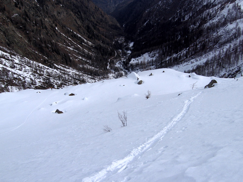 Tossenhorn