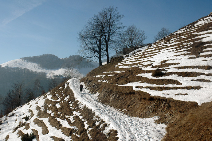 NEVE A GRADINI