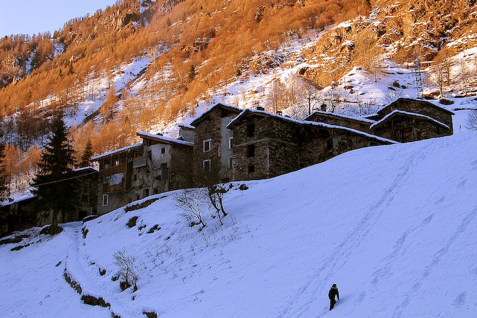 LUCE DORATA A PAGLIARI