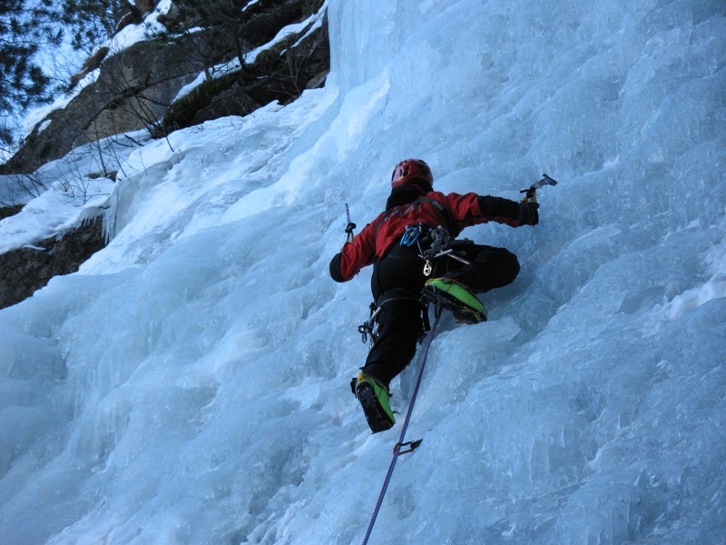Val Paghera albero di destra. Val Paghera albero di destra.