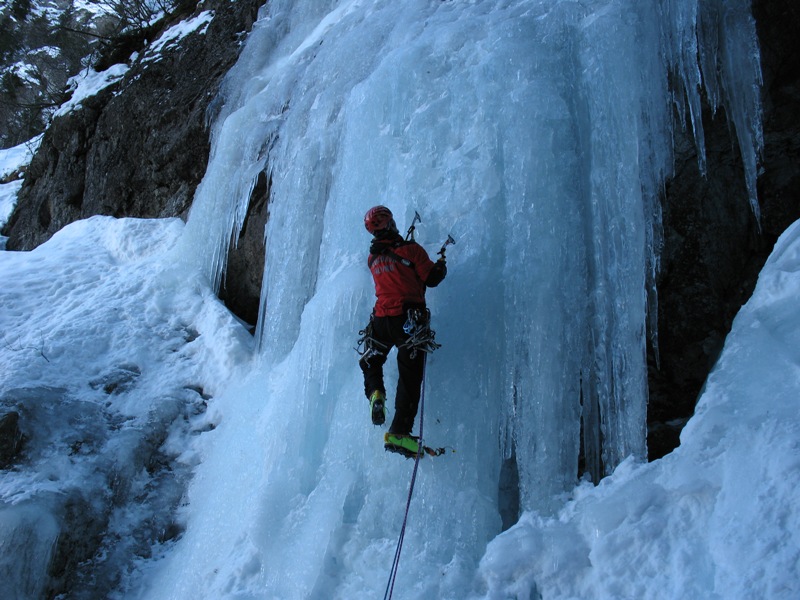 Val Paghera albero di destra. Val Paghera albero di destra.