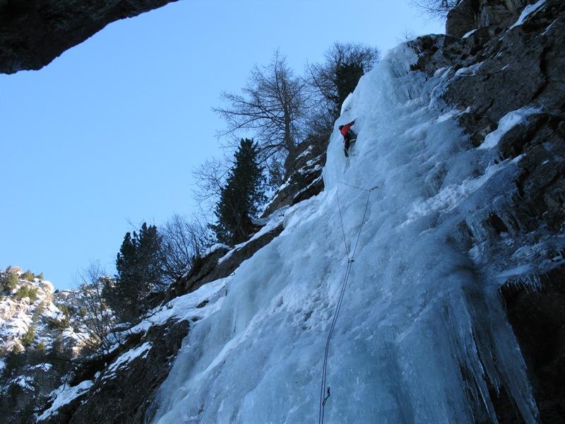 Val Paghera albero di destra. Val Paghera albero di destra.