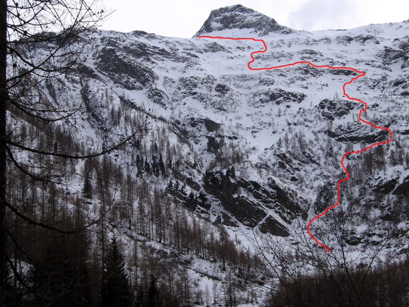 Tossenhorn