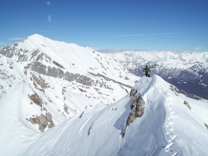 grigna