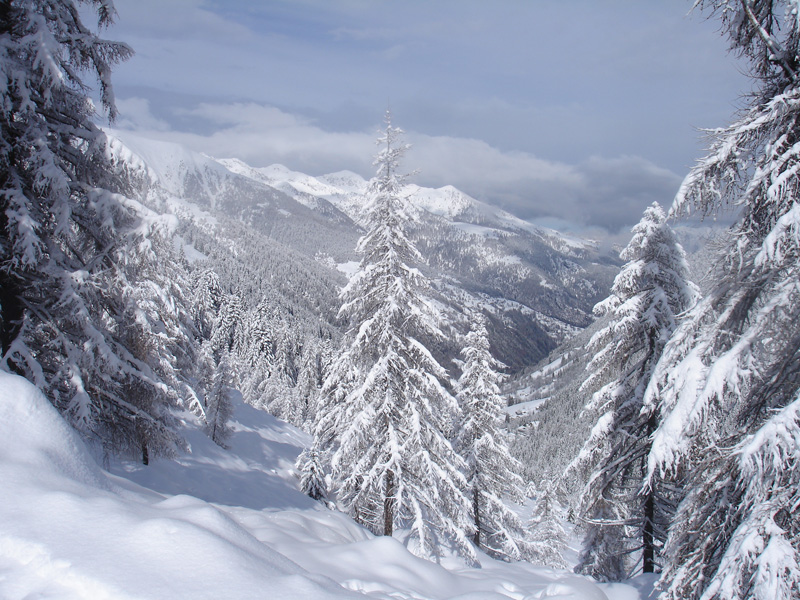 Salendo dalla stradida che da Pescegallo sale al rifugio Salmurano Salendo dalla stradida che da Pescegallo sale al rifugio Salmurano