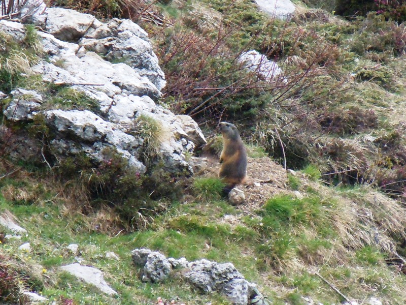 Traversata Moggio-Bobbio-Artavaggio-Moggio Traversata Moggio-Bobbio-Artavaggio-Moggio