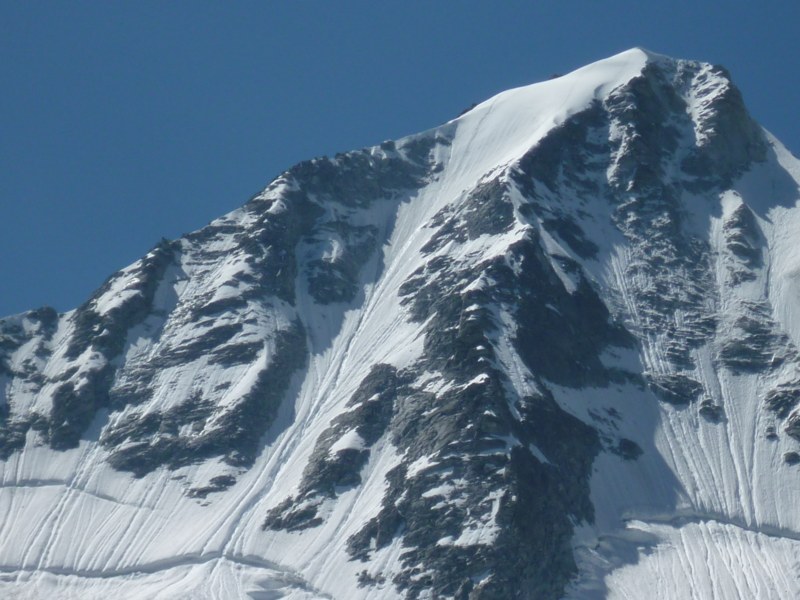 presanella