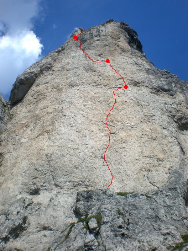 ragni a lcecilia