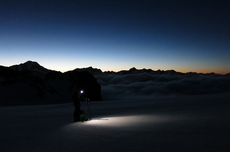 quasi alba
