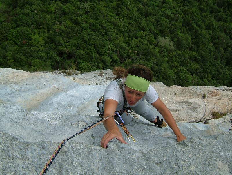 arco translatantico fruits and vegetables arco translatantico fruits and vegetables