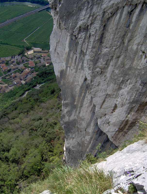 8 bastano