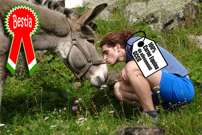 100% ASINO 100% ASINO