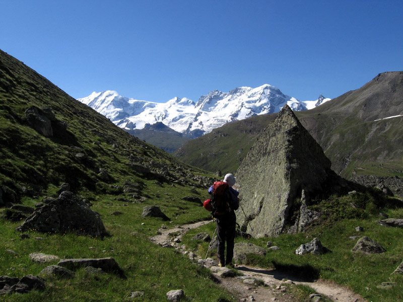 Zinalrothorn