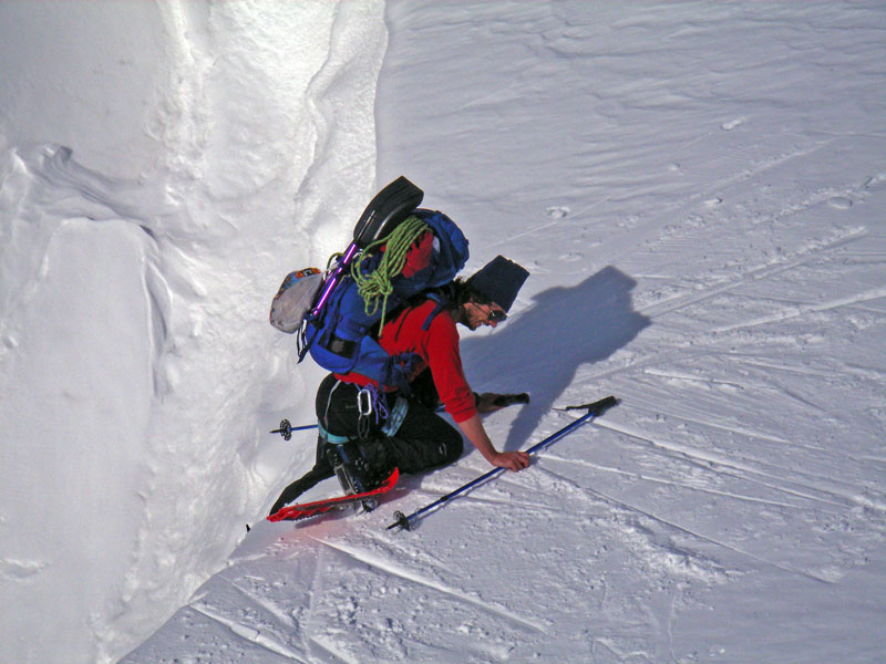 Il quadrupede..... Il quadrupede.....