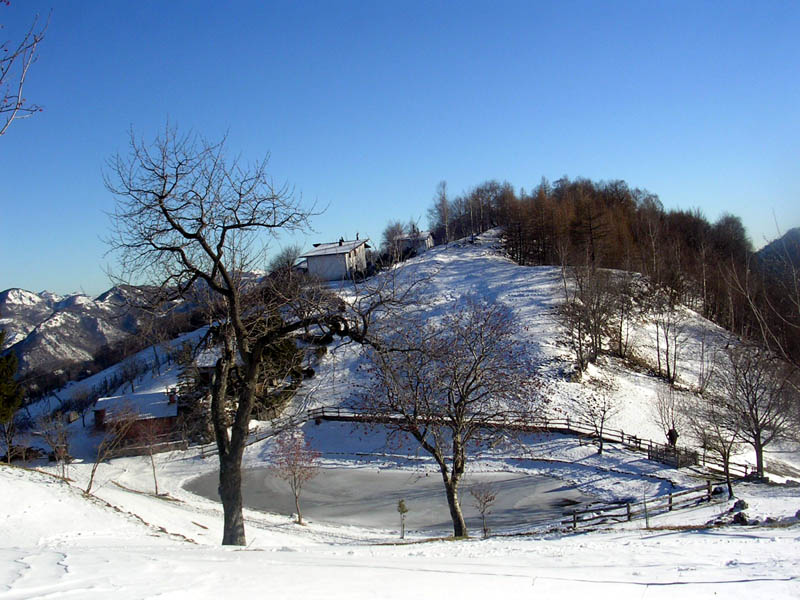 pialeral, grignone