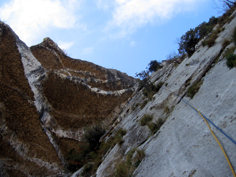 Brentino, Desiderio Sofferto Brentino, Desiderio Sofferto