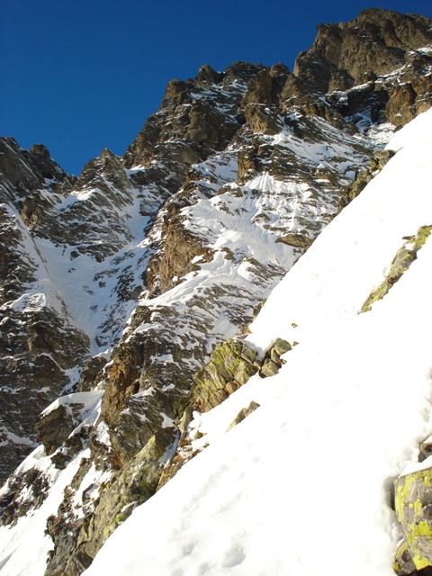 redorta5