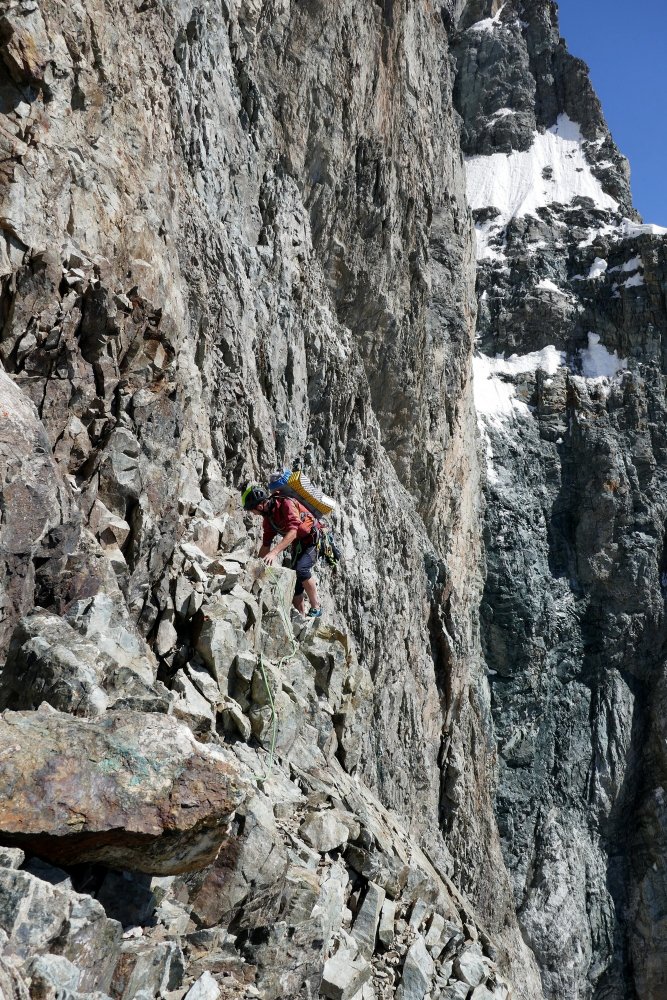 6/7/10/12/12 Pz/set Donne Stampa Leopardo Bar Lingua Labbro Ombelico Anello Body Piercing Ombelico Anello In Acciaio Inox Body Piercing